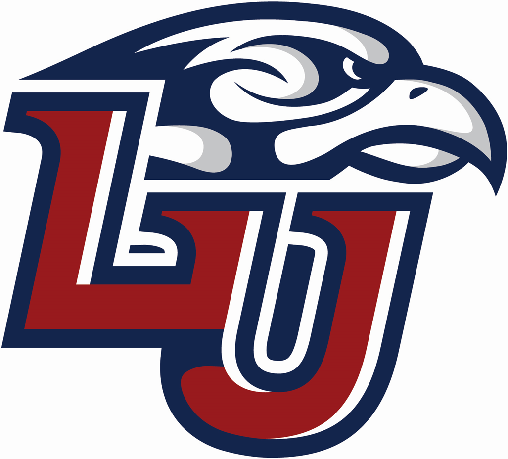 Liberty Flames iron ons